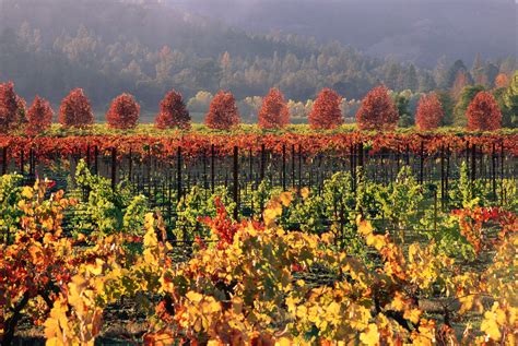 The Best Fall Getaways in California