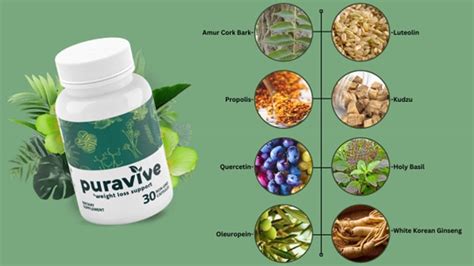 Puravive Ingredients [Updated 2024]: Know Everything About Puravive Ingredients. | Trust Reviews US