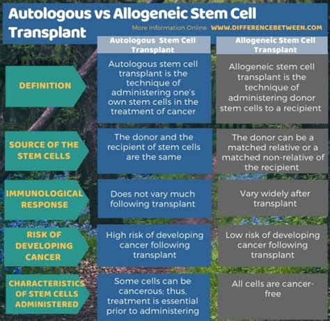 Difference Between Autologous and Allogeneic Stem Cell Transplant | Compare the Difference ...