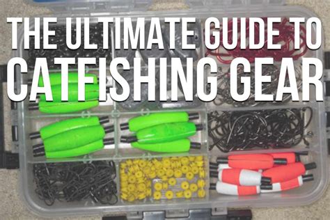 Catfish Tackle: The Ultimate Guide To Catfishing Gear