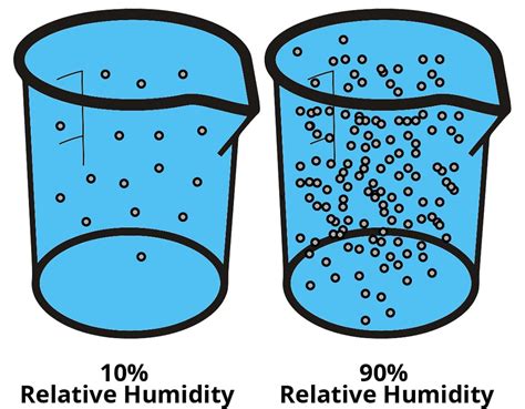 Humidity Sensor Types | Atlas Scientific