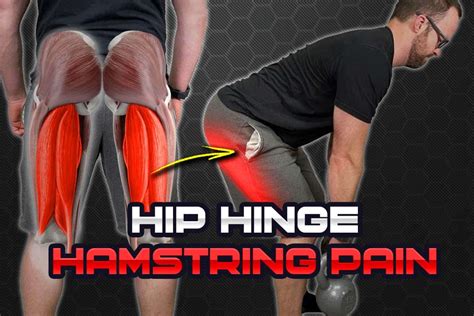 Hamstring Hip Pain