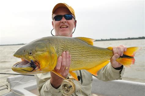 More Dorado Fishing on the upper Rio Parana - Faraway Fly Fishing