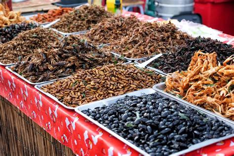 Eating Insects In Bangkok And Where To Find Them Bangkok, 41% OFF