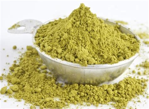 Gymnema Leaf Powder | Bulk Herbs | Medicinal Herbs & Their Uses