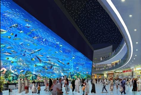 Dubai Mall Aquarium | Dubai shopping, Dubai aquarium, Dubai mall