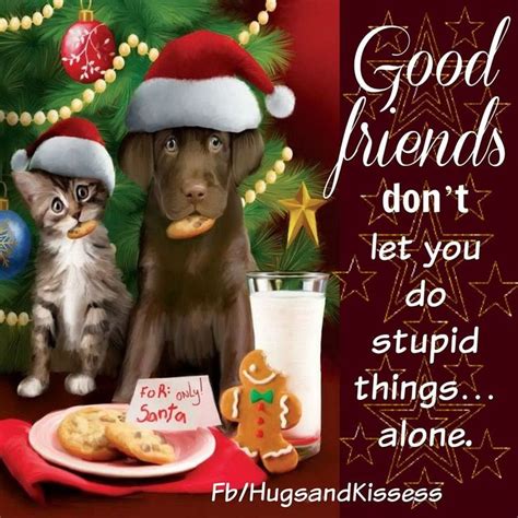 Cute Christmas Quotes About Friendship | Cute christmas quotes, Christmas quotes for friends ...