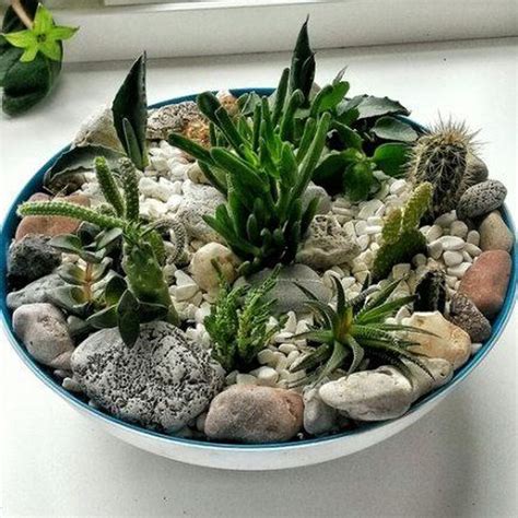 34 Inspiring Indoor Garden Succulent Ideas - MAGZHOUSE