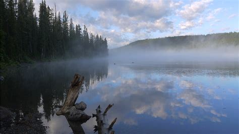 "Lewis Lake, Yellowstone National Park" by kalwhite | Redbubble