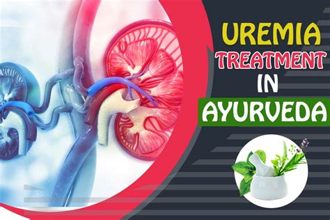 Uremia - Symptoms, Diagnose, Causes & Treatment in Ayurveda