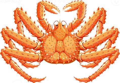 Free crabe royal d'Alaska 19046255 PNG with Transparent Background