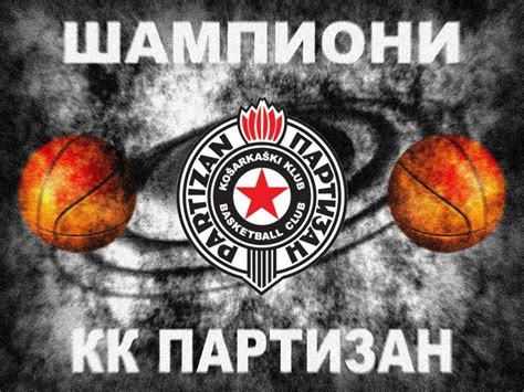 kk partizan logo photo