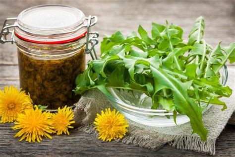 Benefits of Bitter Herbs for Good Digestion | Home Herbalism Courses