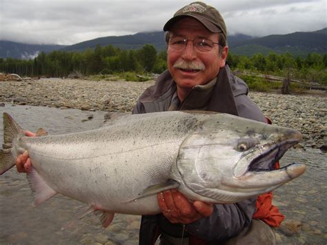 Skeena river fishing guides for Salmon & Steelhead: Salmon fishing guides