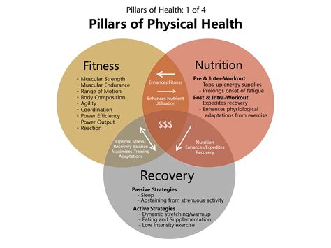 The three Pillars of Physical Health: Fitness, Nutrition, & Recovery. How each pillar is ...