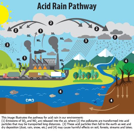 What is Acid Rain? | Acid Rain | US EPA