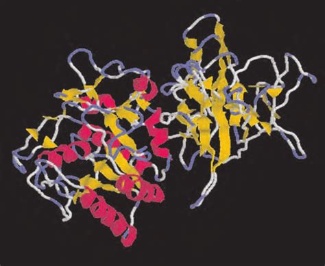 Structure of Thrombomodulin visualised using Rasmol | Download ...