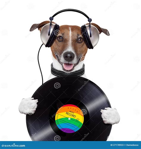 Music Headphone Vinyl Record Dog Stock Photos - Image: 27178933