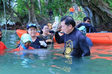 Baby dugong recovers in sanctuary in southern Thailand | #AsiaNewsNetwork | Eleven Media Group ...