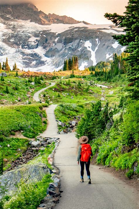 Hiking the JAW-DROPPING Skyline Loop Trail at Mt. Rainier National Park