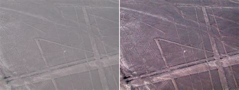 Photo Nazca Lines Spider