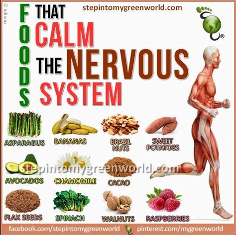 Health & nutrition tips: Foods that calm the nervous system | Calming food, Health and nutrition ...