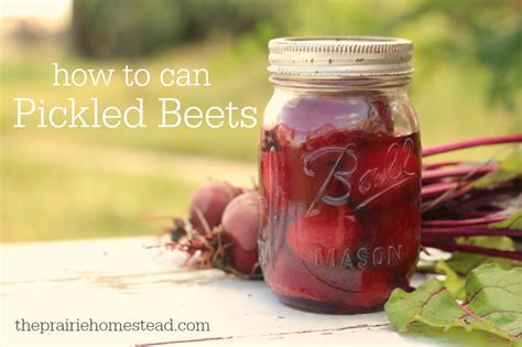 How to Can Pickled Beets • The Prairie Homestead | Recipe | Canned ...