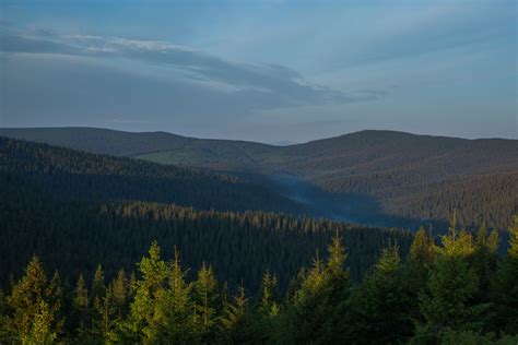 Over 20,000 Hectares of the Oldest Ukrainian Forests are set to Become ...