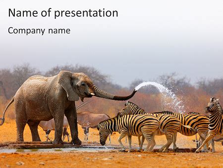 Top 126+ Zoo animals powerpoint - Merkantilaklubben.org