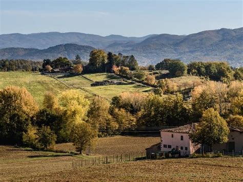 Mugello Truffle Hunting Experience, Tuscany • Things to do in Tuscany