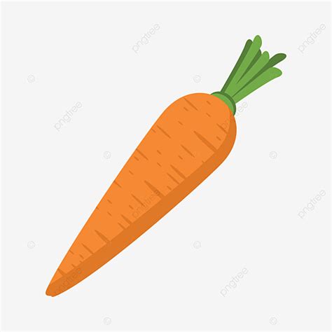 Cartoon Carrot Clipart Vector, Carrot Cartoon Vector, Food Vector, Healthy Food, Food PNG Image ...