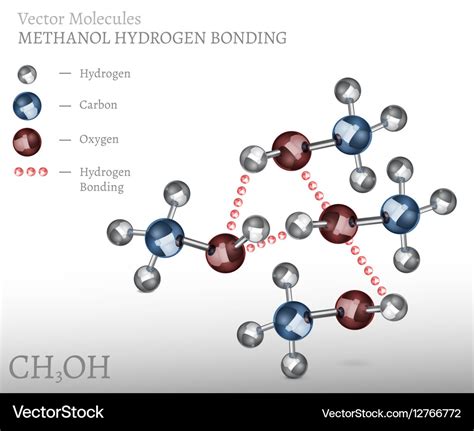 Methanol molecule bonding Royalty Free Vector Image