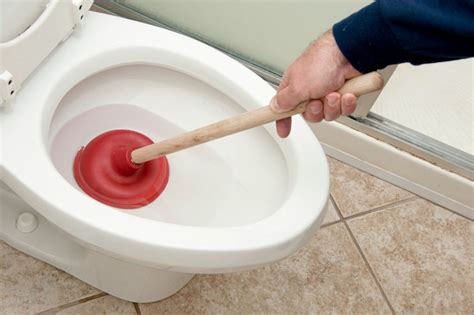 How to use baking soda and vinegar to unclog toilet - Cherry Blossom