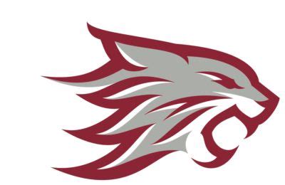 Chico State Wildcats Logo in 2023 | Chico state, Wildcats logo, Chico ...