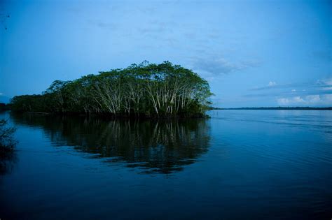 What Amazon Rainforest in Peru offers to you