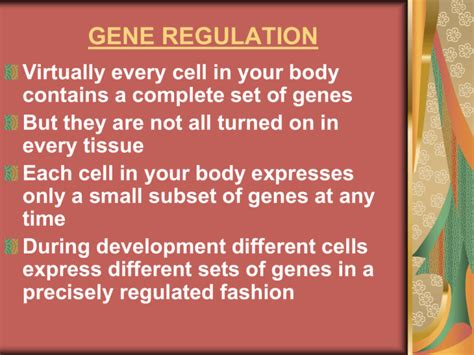 Gene Regulation