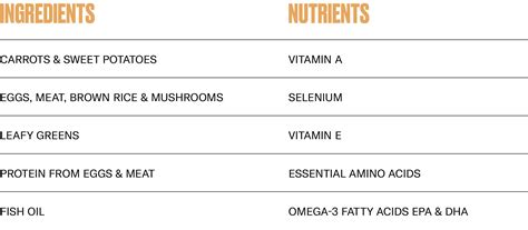 Pet Health — A Gut Test