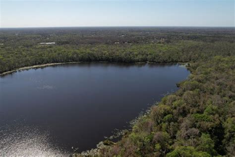 Doe Court, New Port Richey, FL 34654 | Land.com