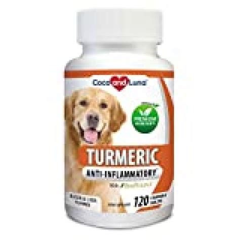 Turmeric for Dogs - Anti Inflammatory for Dogs - Curcumin and BioPerine ...