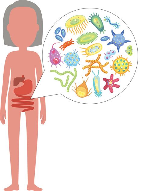 Gut Microbiome