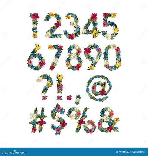 Numbers, Vector Colorful Flower Font for Your Design Stock Vector - Illustration of nature ...