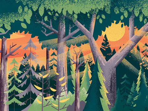 Forest Morning | Forest illustration, Tree illustration, Nature illustration