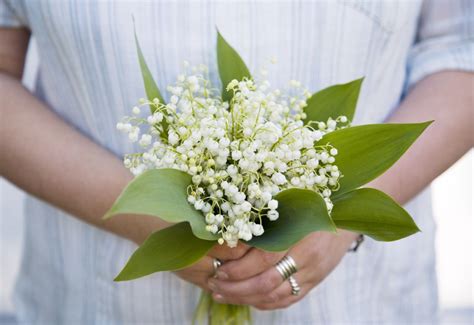 Filler Flowers for Wedding Bouquets