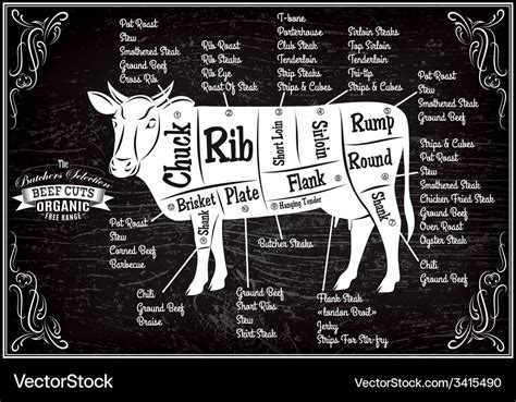 Poster with detailed diagram cutting cows Vector Image