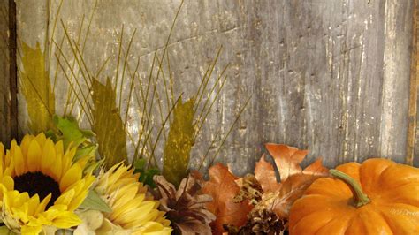 Fall Harvest Hd Wallpaper