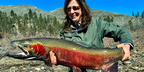 Steelhead Fishing in Idaho! - Idaho River Land