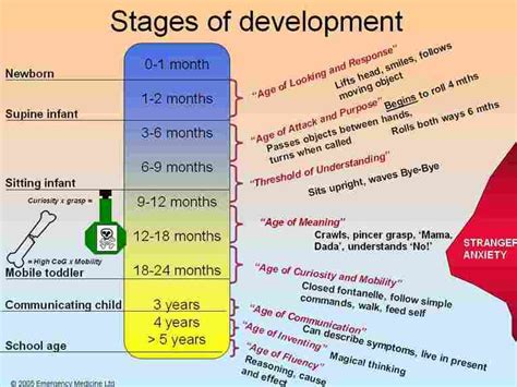 The Developing Child's Brain - Parenting