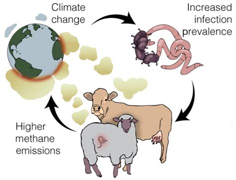 Vicious Cycle: Climate Change Spreading Infectious Diseases, Which ...