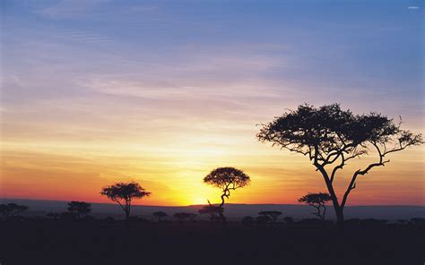 Safari Sunset Wallpapers - Top Free Safari Sunset Backgrounds - WallpaperAccess