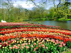 Snapshots: It’s springtime at Keukenhof Garden – The Gallivant Post